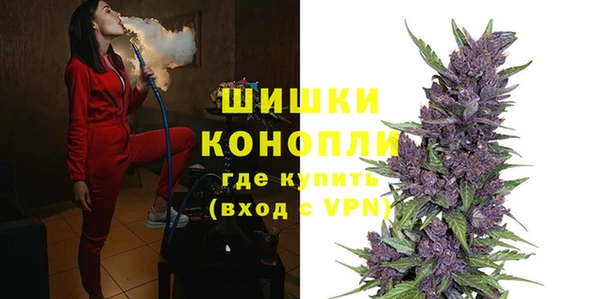 спайс Пересвет