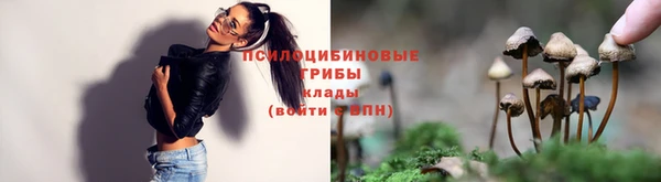Альфа ПВП Каменногорск